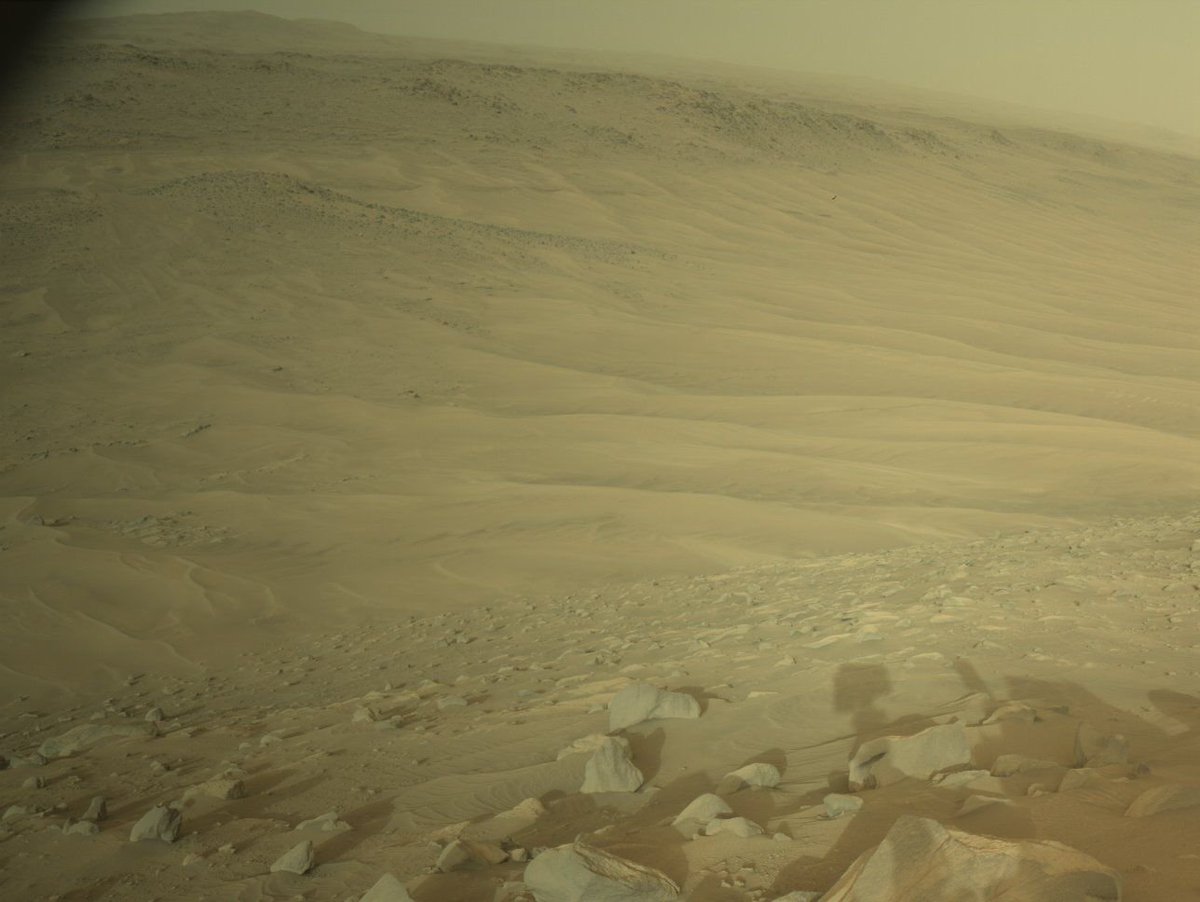 NASA has released new images from the Perseverance mission on Mars. Caught in a dust storm. Hopefully doesn’t clog up the sensors too much.