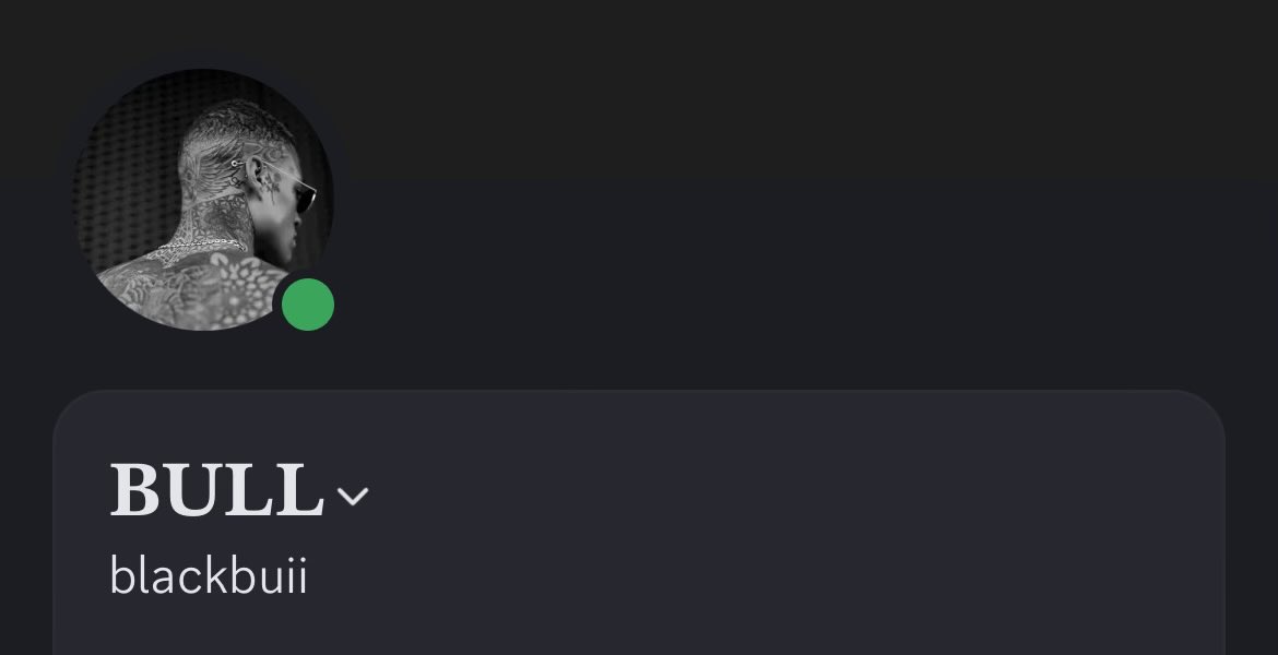 𝐁𝐔𝐋𝐋 tweet media