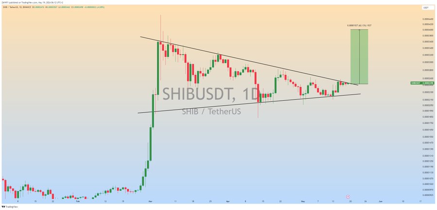 Shiba Inu 60% Bullish Rally