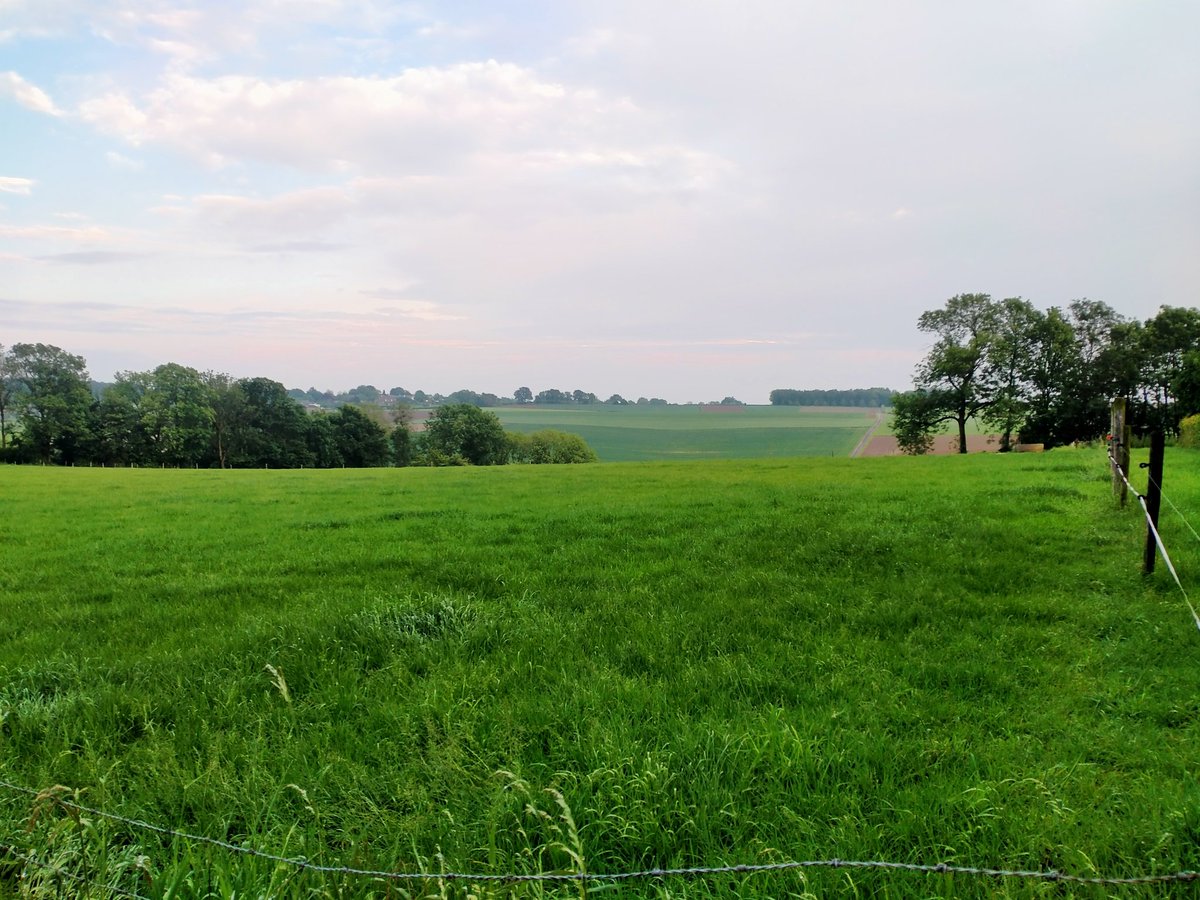 Peter80047326's tweet photo. Campinglife...Het regent maar dat kan de pret niet drukken...
Goedemorgen
#Colmont https://t.co/r52NfhGH0K