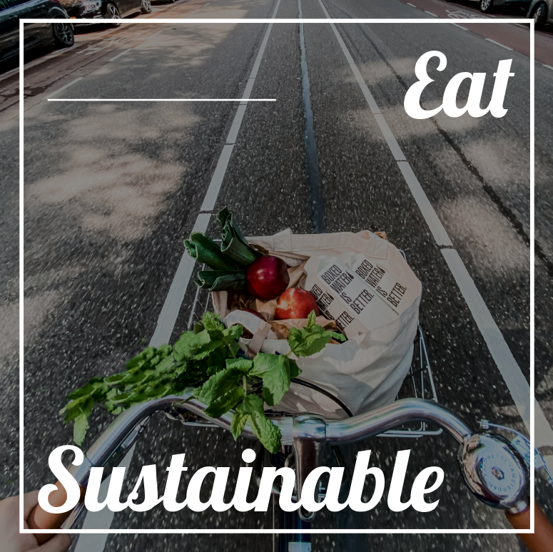 NatureNestMelb's tweet photo. Here are 3 ways to lower your carbon footprint. More details are on this weeks blog post on my website! 🌱

-

#savetheplanet #sustainable #nature #naturenest #wildlifeconservation #natgeo #naturelover #melbourne #australia #biodiversity #ecosystem #earth #entomology #garden https://t.co/n3kl4iRgrF