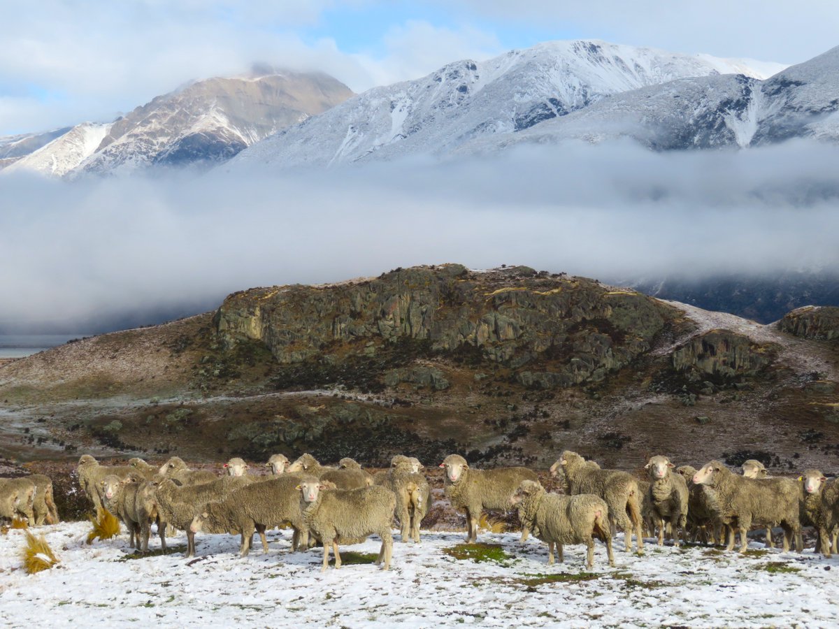 Deanoss's tweet photo. Sunday @mtsunday #edoras https://t.co/rMGWns2ePO