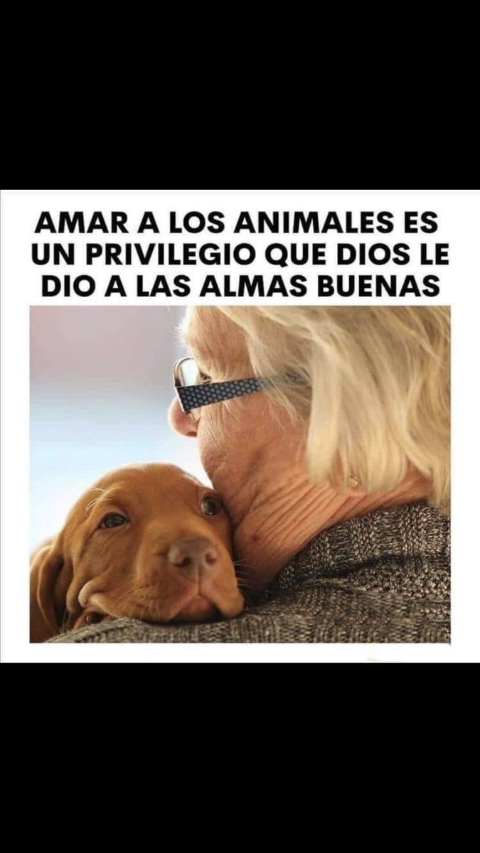 @meminfunes10⚽️ (@escuelamemin) on Twitter photo 