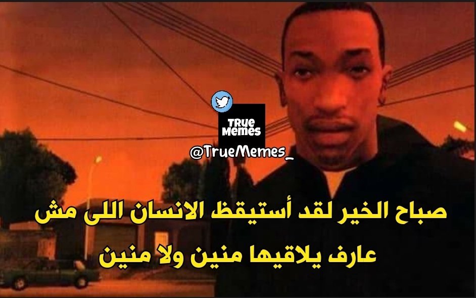 True Memes (@truememes_) on Twitter photo 