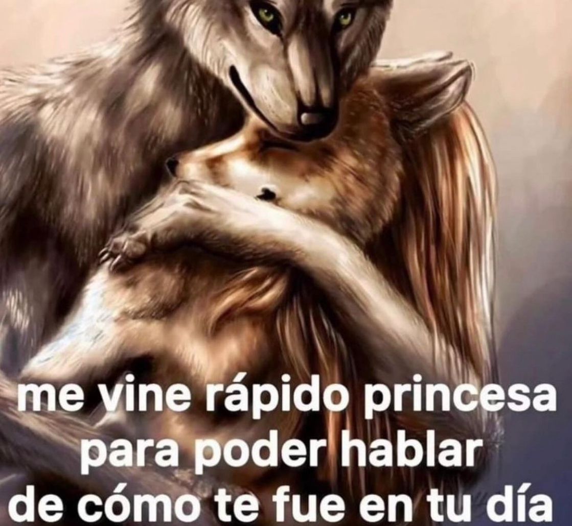 BFrog__'s tweet image. 