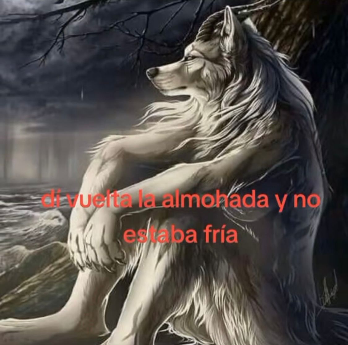 BFrog__'s tweet image. 