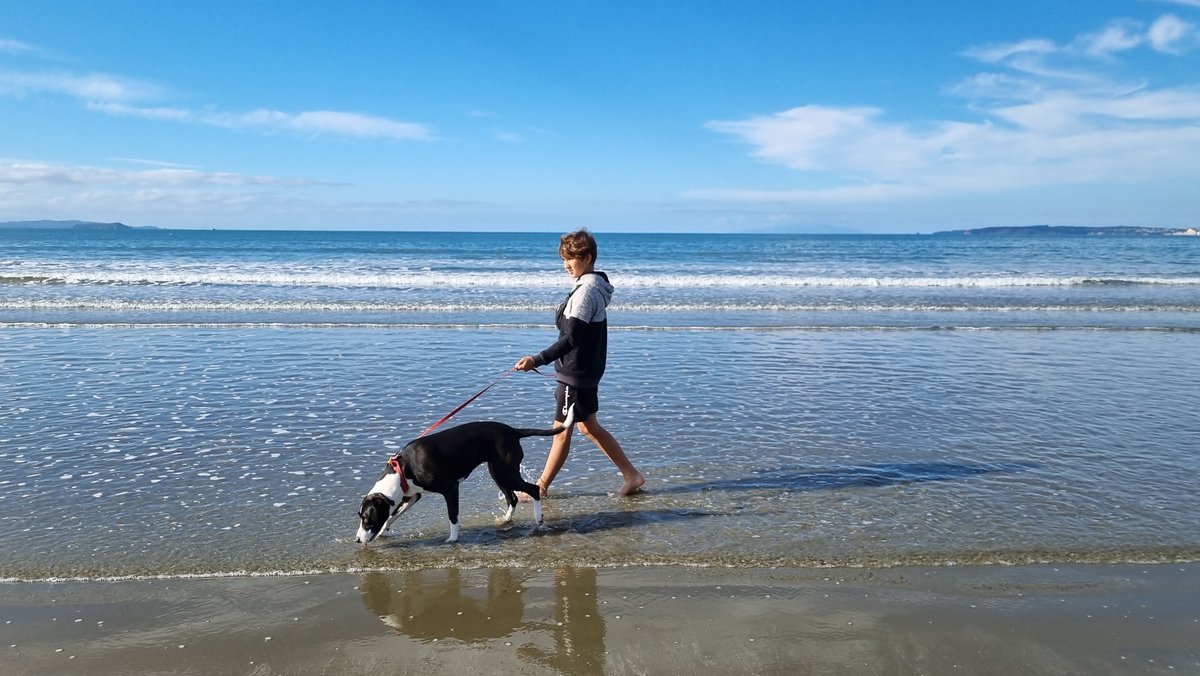 When you think of late #autumn #walks, you probably imagine fallen leaves, cold air and maybe even rain. Well, it's different in #SouthernHemisphere! Here is our walk on the #beach in #Auckland today (May is the last month of autumn in our part of the #world).