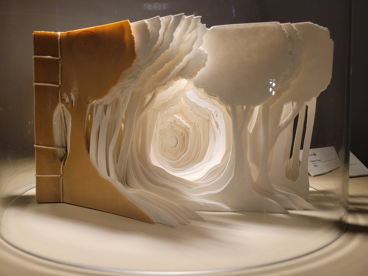 MiriA_Asagi's tweet image. 札幌市民交流プラザにて26日まで開催中、『柴田あゆみ  かみがみの森』を見てきました。 1枚1枚、重なったレイヤーと明暗が織り成す世界。1mmよりも小さい穴の一つ一つにまで息吹が宿ってる……。ため息が出そうでした。
#柴田あゆみ #かみがみの森
#scarts #札幌市民交流プラザ