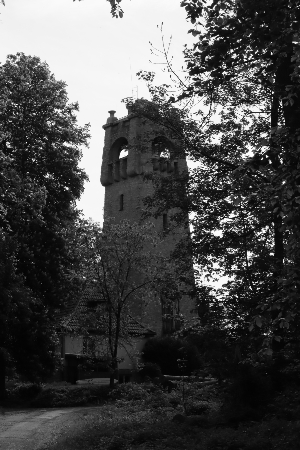 #photo #photography #blackandwhite #landscape #tower #forest #nature #Landschaftsfotografie #monochrome #landscapephotography #trees #blackandwhitephotography