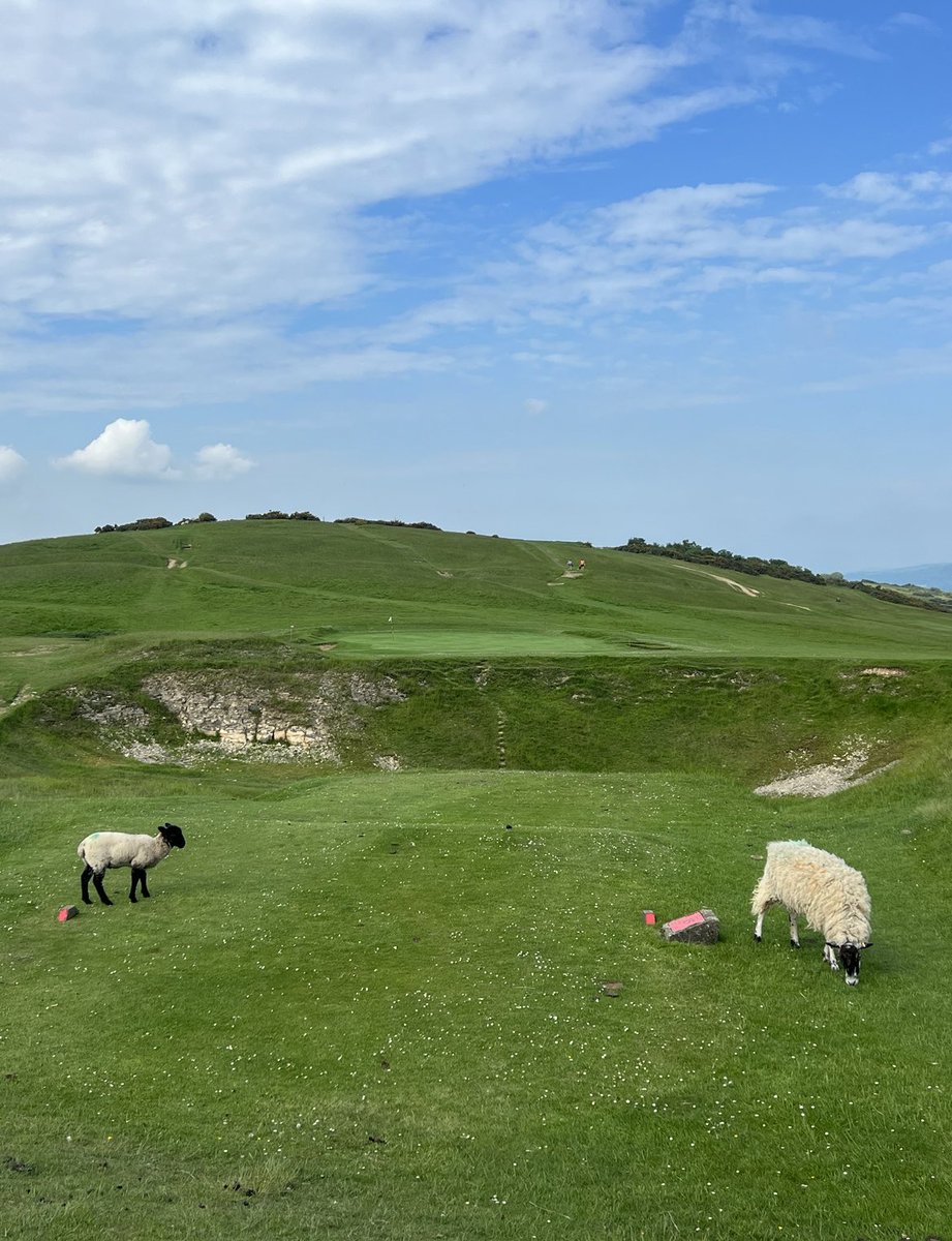 @HertsTimelord @cdpgolf1 @IVGD1 @golf_du_touquet Downhill and you can bounce it on. Or play the forward tee.   Easier for a short hitter then this 155 y beauty  at Cleeve Hill.