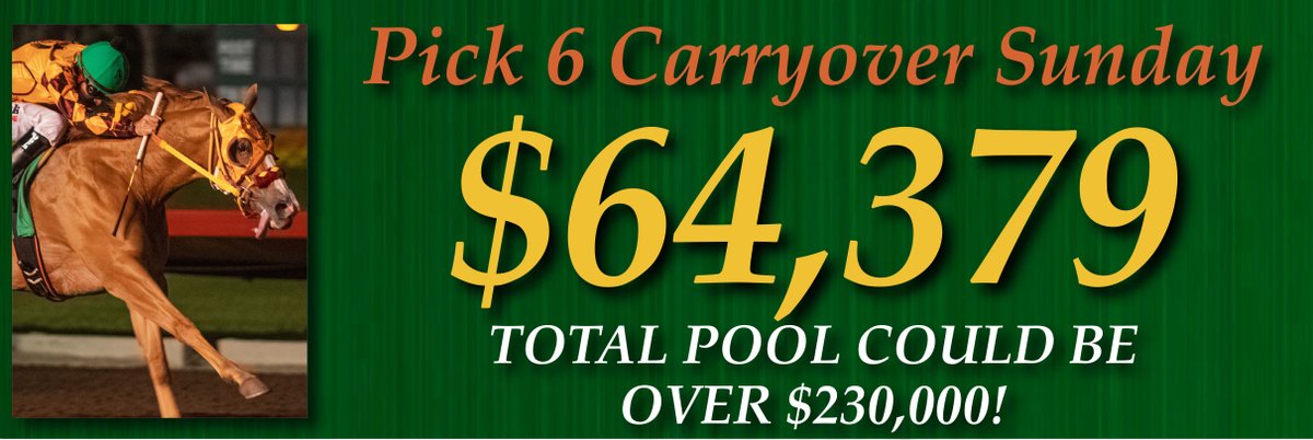 🚨🚨Carryover Alert for Sunday!🚨🚨 Big Carryover @losalracing of $64,379 First post is 5:50 PM Sequence starts in race 5 at 7:28 PM Join @losponies and Eulices for all the action on @FanDuel_Racing