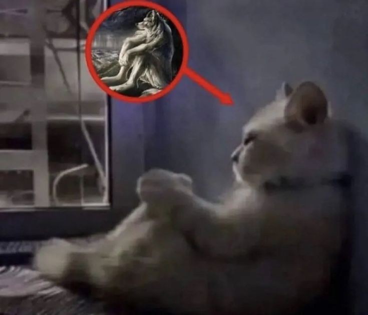 ocfffe's tweet image. Todavía no me puedo cambiar el nombre