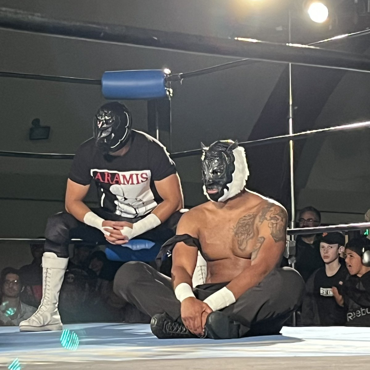 ♠️♠️