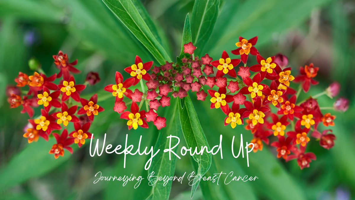Another roundup of the finest gems from the blogosphere featuring @AMJohnston1315 @ourmbclife @6state @mmejendouglas @MolliSurgical @HeartSisters @letlifehappen @crosserriddle @Bethlgainer @suerobinsyvr journeyingbeyondbreastcancer.com/2024/05/19/wee…