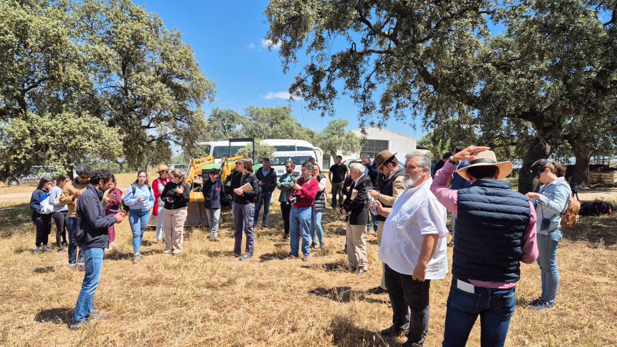 🌟👏 Great success at the #LIFEFagesos event in Pozoblanco, Córdoba! 

Technicians, farmers, and landowners attended hands-on workshops on  IPM,  hygiene standards, and  product application. Inspiring enthusiasm and participation! ❤️🙏  #LIFEProgramme #LIFEAmplifiers #LIFEFagesos