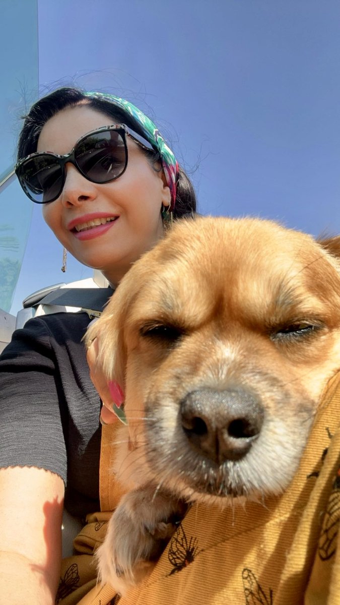 mssensy2017's tweet image. خب عزیزان اگه نخوام پروژه جدید فارم کنم الان چی بزنم ؟ پس فعلا همون اشغالای که میزدمو ادامه میدم تا بعد یه فکری واسه خودم کنم 
@ParamLaboratory 
@Imaginary_Ones 
@Polytrade_fin 
@GenAITrade 
@PlayOverTrip