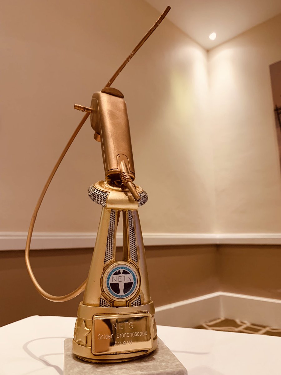 Booking for our annual Golden Bronchoscope evening, and the joint NETS/STC education afternoon (focussing on improving the experience of trainees) is now open via our new website. Please make sure you sign up! 

Date: Weds 12th June 2024

nethoracic.co.uk

#RespIsBest 🫁