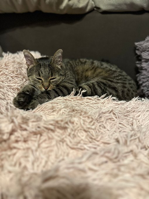 🫠 https://t.co/hQ26ueOBkR<a href="/tag/eastereggs"class="tags"><span>#eastereggs</span></a>