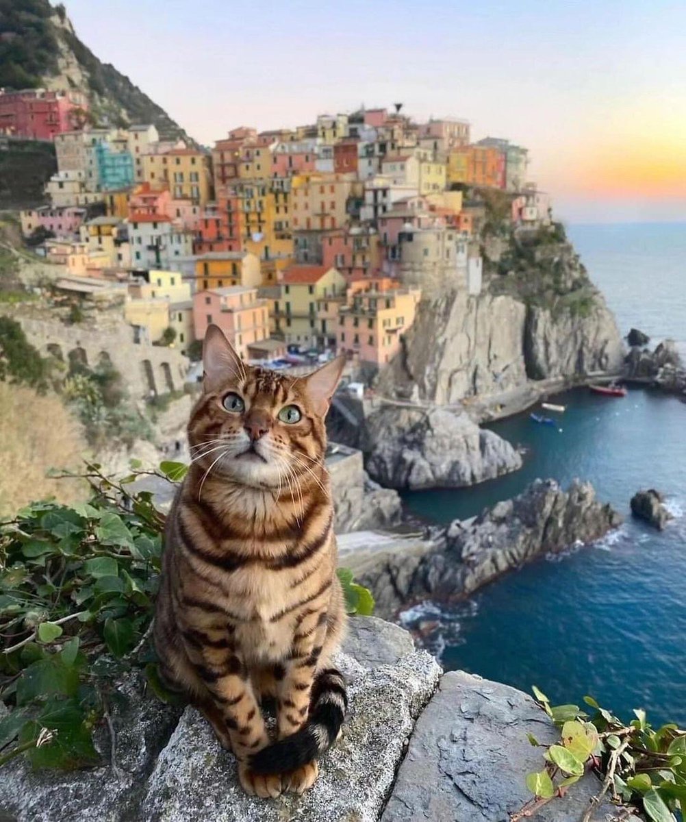 Cinque Terre, Italy 🇮🇹