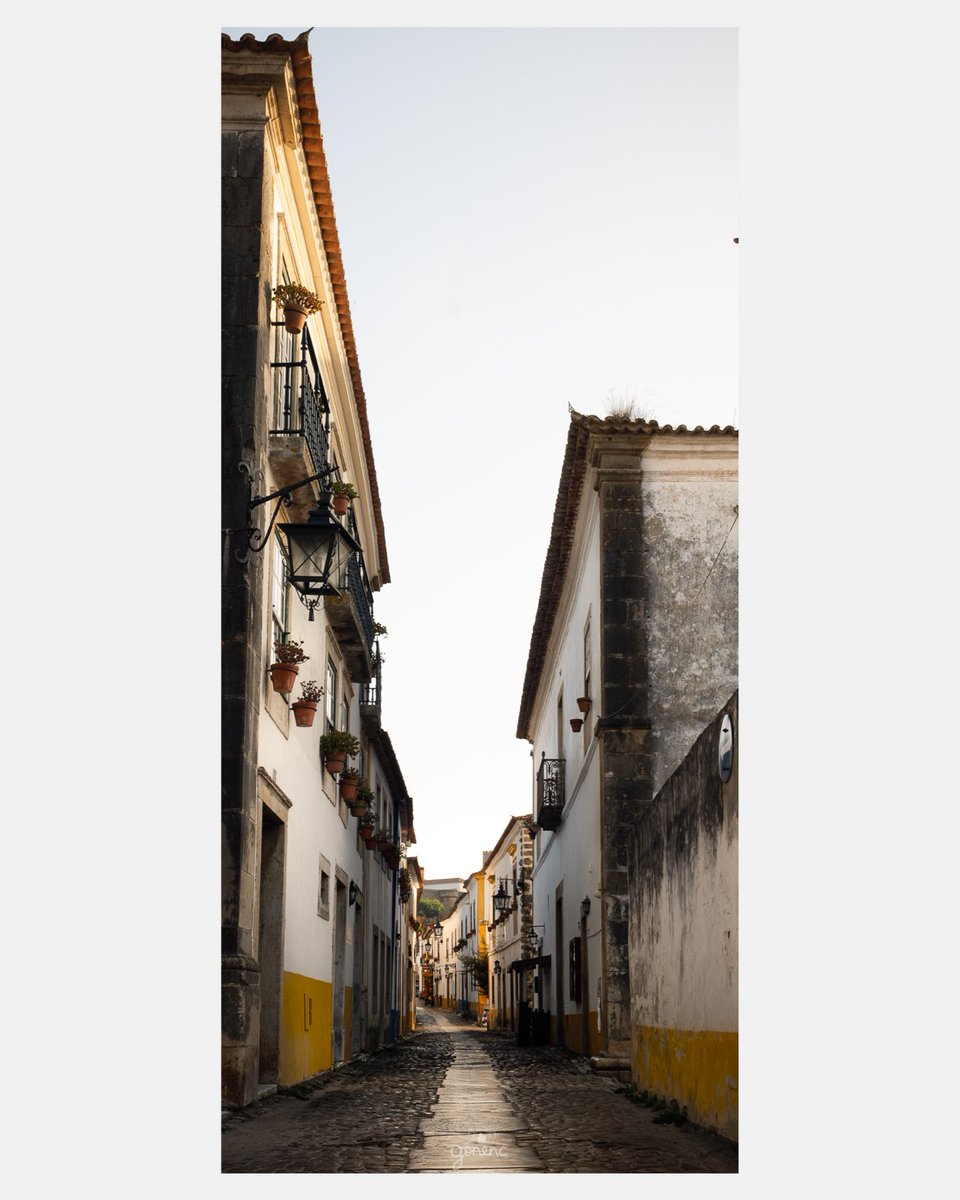 Gündoğumu ile beraber sokakta sadece kedi ve ben vardım. Begonvil altında poz verdi. 😊

📌Obidos , Portekiz.

 🌄 #photography #photooftheday #sunrise #portugal #nikonz6ii #travelphotography #landscapephotography