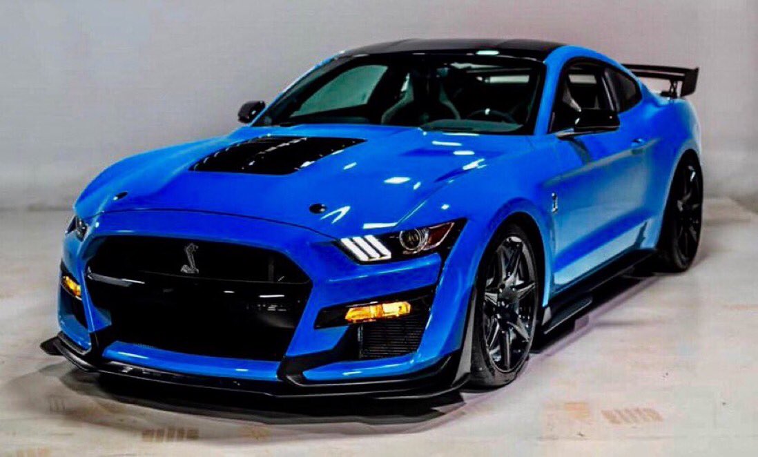 “ Shelby Sunday Special “ 💙🐍💙