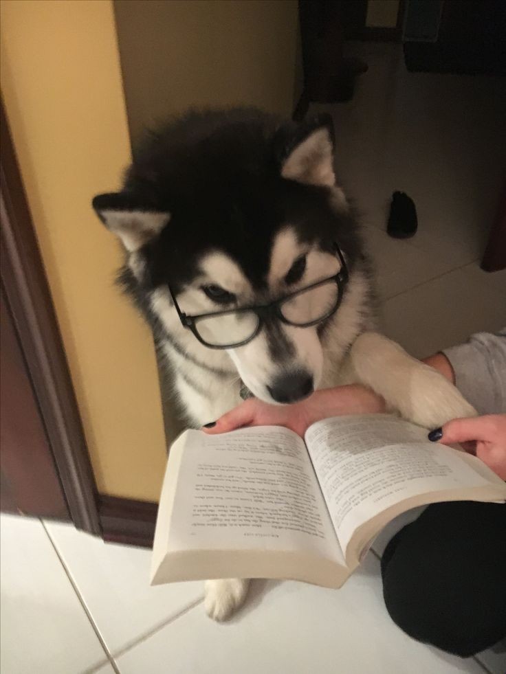 Reading time 🥰