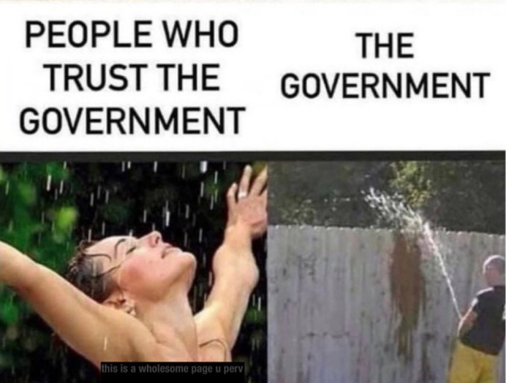 alifarhat79's tweet image. 