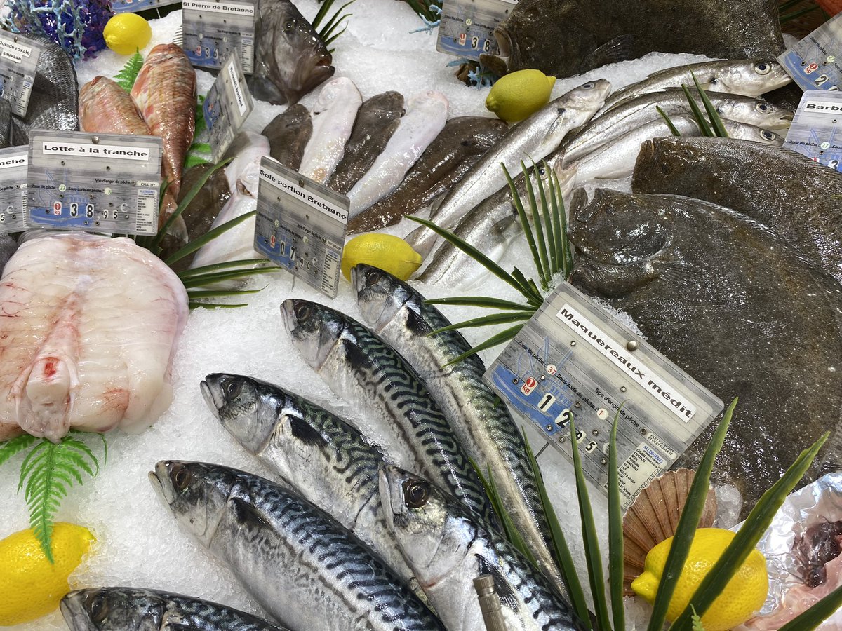 PhilippaVereker's tweet image. Didgeridoos and red carpets and fish #canneslife #springsundays