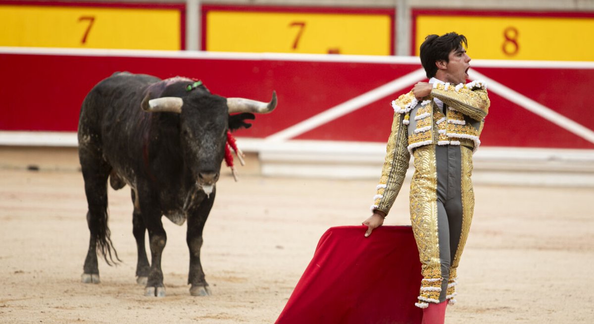 mundotoro.com (@mundotorocom) on Twitter photo 🔴Colombo vs Miura: Madrid, con el aval de San Fermín
#Noticiasdetoros #Noticiastaurinas #Tauromaquia <a href="/Info_JEColombo/">Jesús Enrique Colombo</a>
mundotoro.com/noticia/colomb… 🔴Colombo vs Miura: Madrid, con el aval de San Fermín
#Noticiasdetoros #Noticiastaurinas #Tauromaquia <a href="/Info_JEColombo/">Jesús Enrique Colombo</a>
mundotoro.com/noticia/colomb…