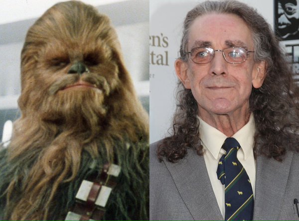 BTD May19,1944 #PeterMayhew RIP actor film/TV, author, 1977-2015 Star Wars film series man behind the mask as Chewbacca; TV 1979 Hazell, 1981 Dark   Towers. Mayhew died Apr30,2019 at 74 from complications of a double heart valve replacement surgery