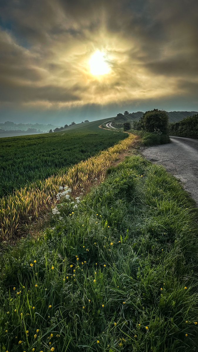 My Morning View Sorry it’s a bit later but it’s currently still Morning. #road #sunrise #countryside #rural #scene #nikonphotography #folkestoneandhythedc #kent #bbckent #photography #landscape