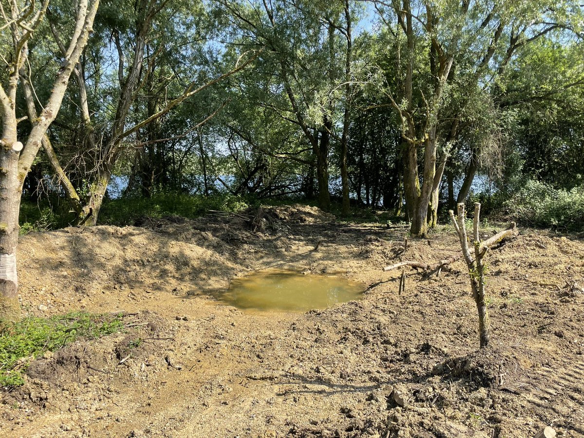 Cotswold Lakes Trust Rangers tweet media