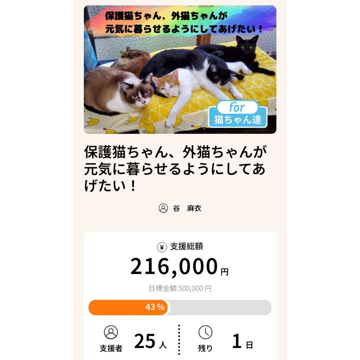 活動報告を投稿しました❗ 今日は楓ちゃんの紹介です🍁 見ていただけますと嬉しいです🍀 保護猫ちゃん、外猫ちゃんが元気に暮らせるようにしてあげたい！ - クラウドファンディングForGood - @ria_cat13 for-good.net/project/100071…