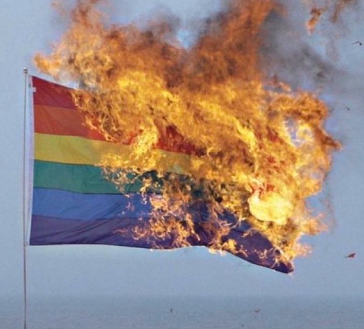 israelUSAforeve's tweet image. every single Pride Flag should be BURNED immediately

Thoughts?
