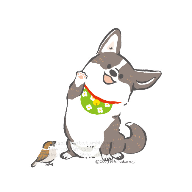 「animal focus dog」 illustration images(Latest)