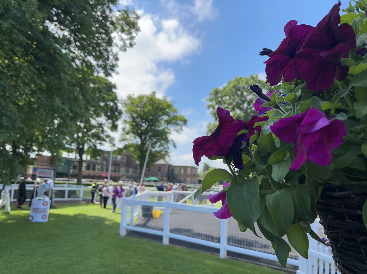 Great to be back at Yorkshire’s Garden Racecourse, beautiful ⁦@RiponRaces⁩ for ⁦@SkySportsRacing⁩ ⁦@AtTheRaces⁩ ⁦⁦@YorkshireRacing⁩ 😎🏇 #Riponraces #Skysports #Goracing