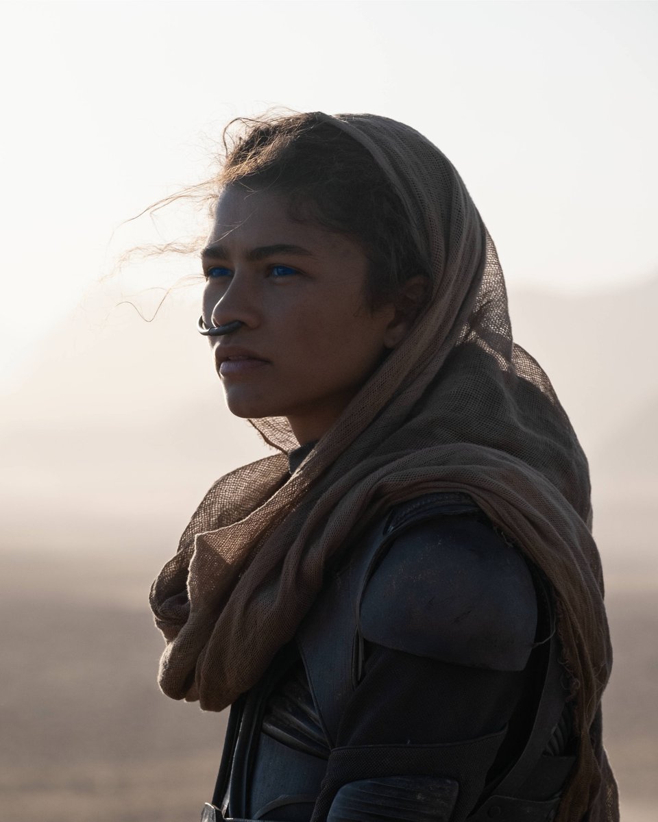 Max Česko a Slovensko tweet media