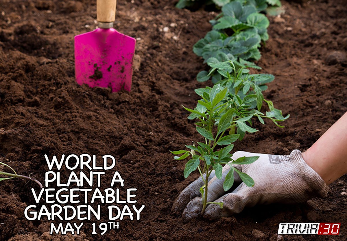 'My favorite hobby is being alone. I like to be alone. I also like dancing, fishing, playing poker sometimes and vegetable gardening - corn, tomatoes, cucumbers, I have a big garden every year.' — Emanuel Steward #trivia30 #wakeupyourbrain #WorldPlantAVegetableGardenDay