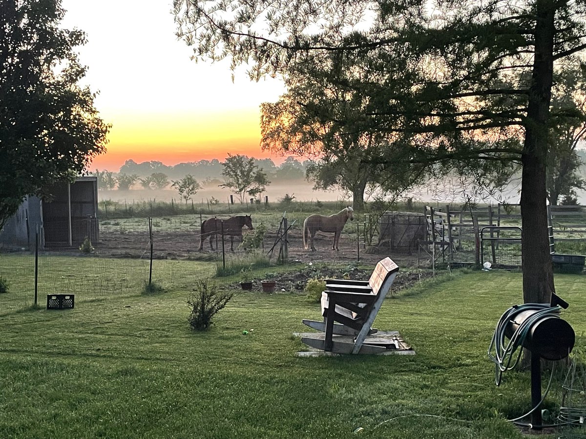 Good morning! Debby Merrell shared this pretty sunrise scene from Lewis County. You can share your life in pictures in the comments below or at: khqa.com/chimein.