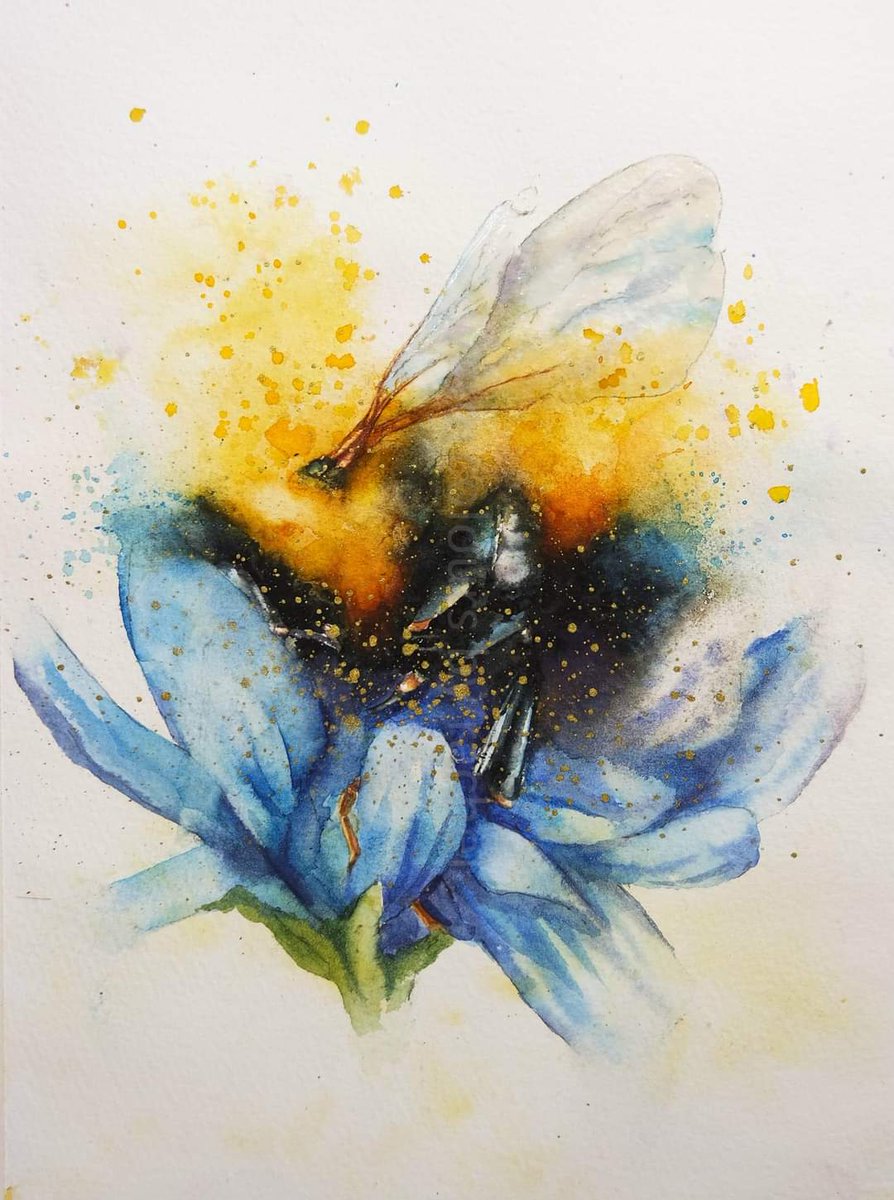 The sun is shining, the flowers are out and the bumble bees are hard at work...

Happy Sunday x

#watercolour #watercolourpainting #bumblebee #flowers #pollinators #savethebees #gardens #working #inspiration #bees #art #artist #Devon #wildlifeartist #wildlifeart #painting #art