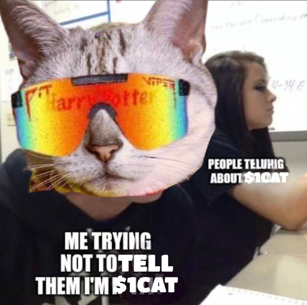 <a href="/stekisteks/">///Steki🧲</a> #1 cat on solana 

Ratio imcomming 

<a href="/1catsol/">1CAT</a>