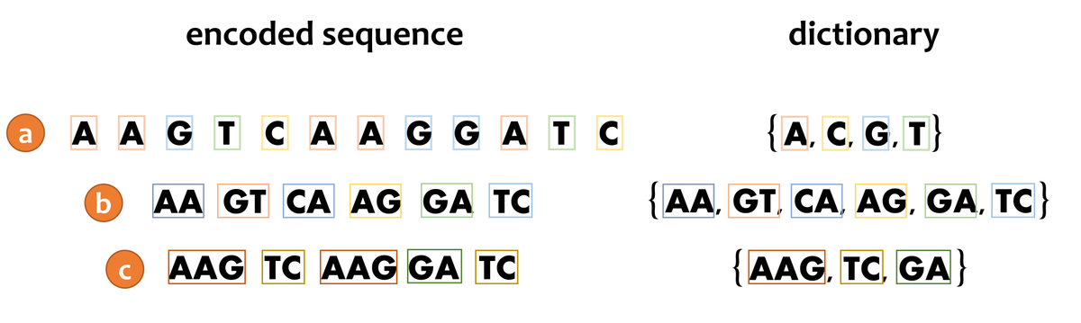I'm pleased to announce that our paper, "Effect of #tokenization on transformers for biological sequences" has been accepted for publication in #Bioinformatics.
