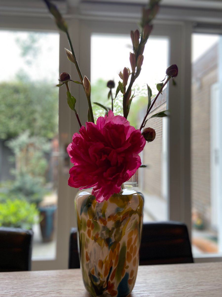 Wist je dat we deze serie van Fidrio al meer dan 8 jaar in ons assortiment hebben. 

De bloemen die in de vaas zitten zijn pioenen, Iris en een polianthes. Wil jij ook met dit soort mooie producten werken. Stuur een dm of kom het gewoon bewonderen 

#vacature  #bloemen #duurzaam