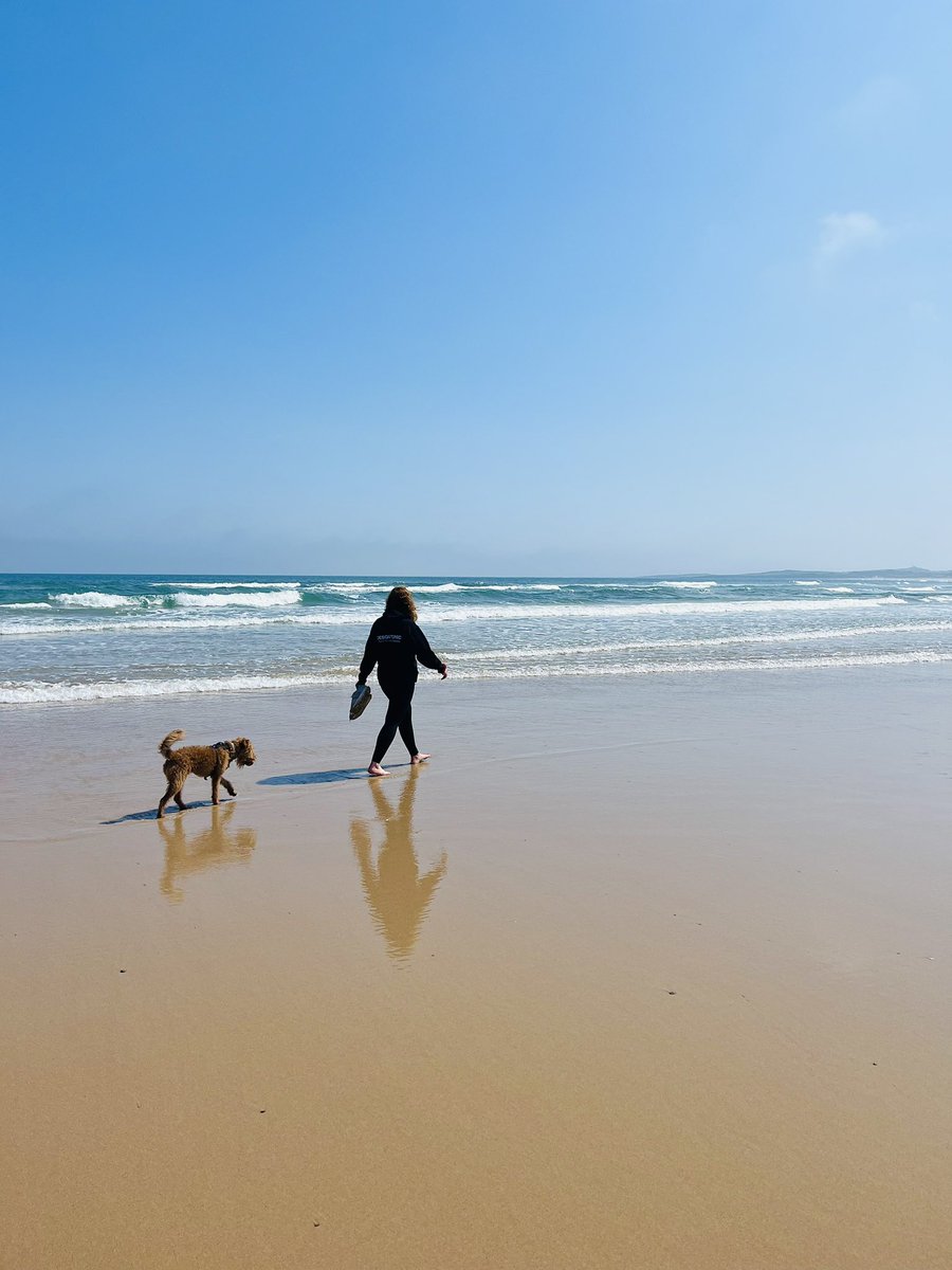There’s nothing better than empty beaches, blue skies and everywhere being dog friendly #northumberland #dogwalks