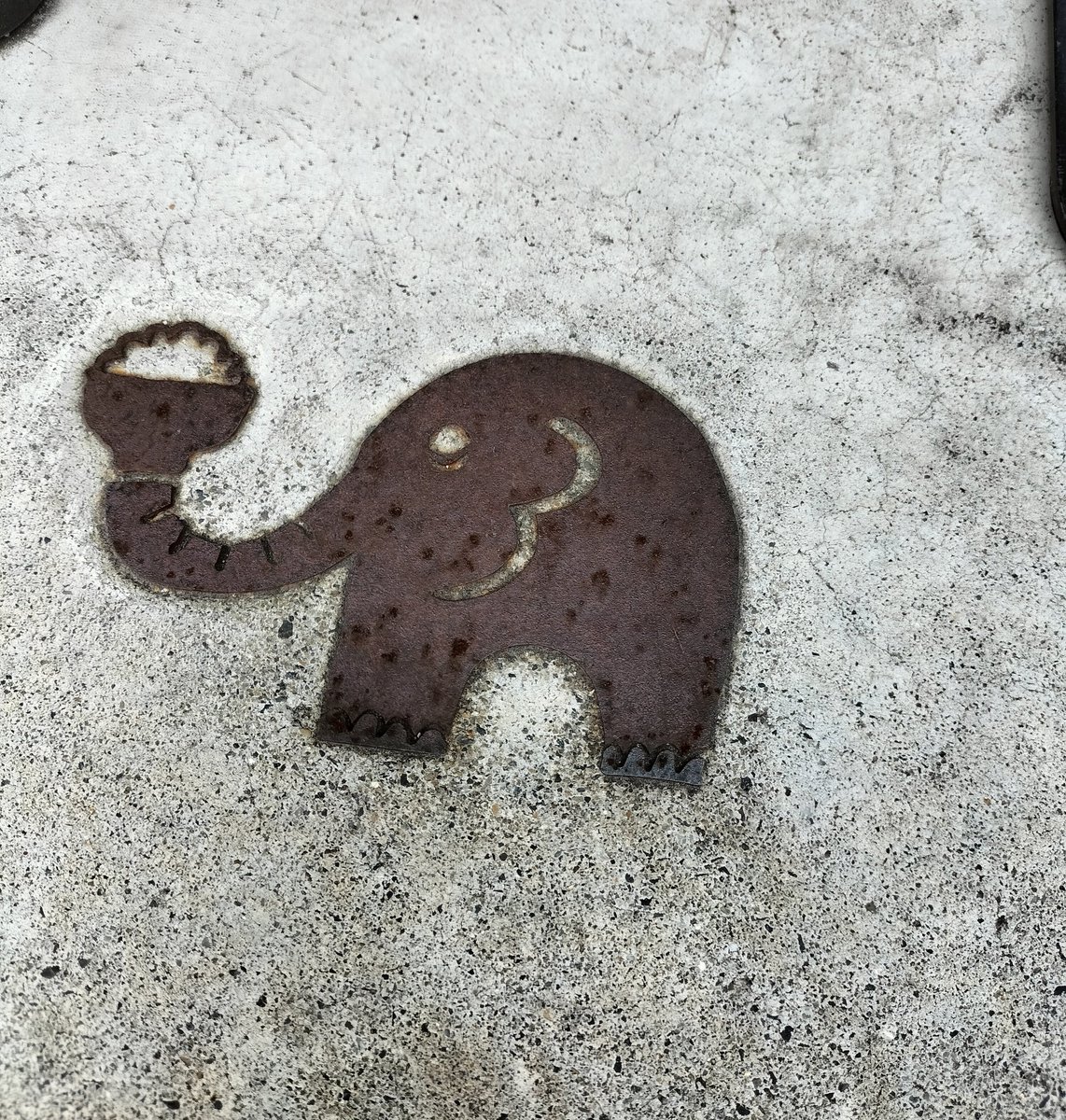 念願の喫茶ゾウメシ🐘