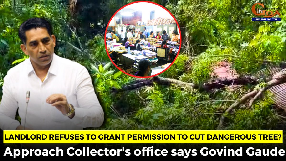 Landlord refuses to grant permission to cut dangerous tree? Approach Collector's office says @Govind_Gaude WATCH : youtu.be/4dDiCkDRkWI #Goa #GoaNews #TreeCutting #CollectorsOffice #landlord
