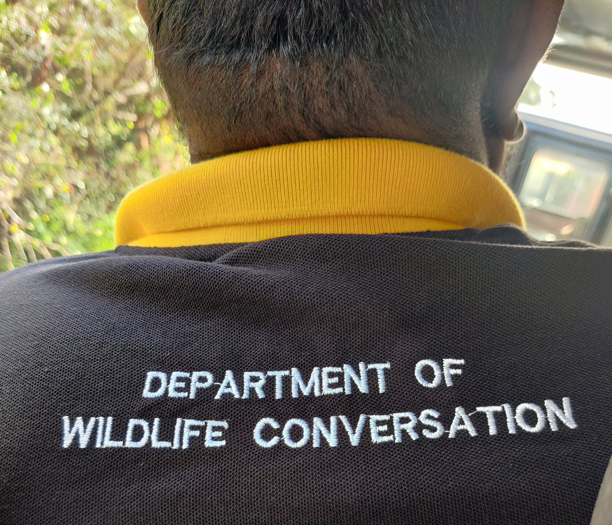 The perfect T-shirt for a wildlife guide...🤪