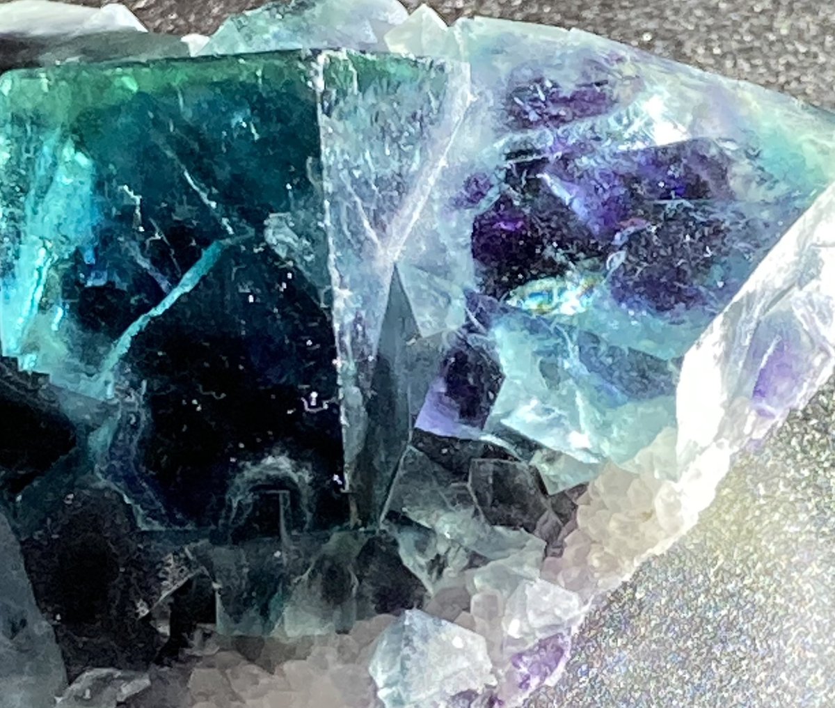 mie(ŐωŐ)@石禁同盟 tweet media