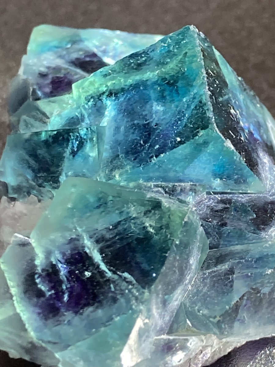 mie(ŐωŐ)@石禁同盟 tweet media