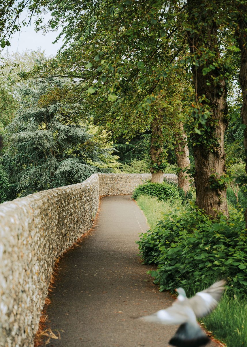 May is National Walking Month, and could there be a city more beautiful than ours to walk around? 

Whether you're an avid walker, or prefer a more gentle stroll, Chichester has something for everyone with parks and open-spaces-galore!